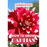 How to Grow Dahlias: Easy guide to planning, planting and growing