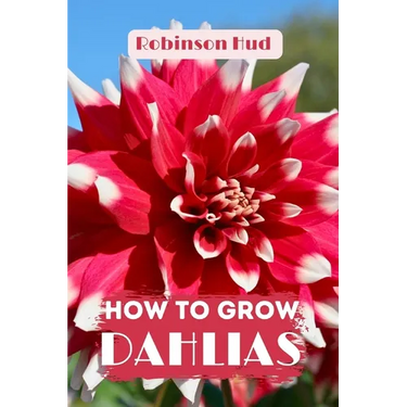 How to Grow Dahlias: Easy guide to planning, planting and growing
