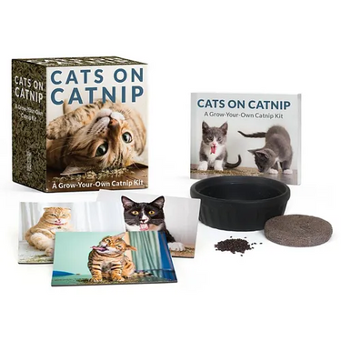 Cats on Catnip: A Grow-Your-Own Catnip Kit