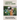 Gardening When It Counts: Guide To The Processes Of Irrigation In Your Area: Gardening Books
