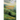 Eternal Breath
