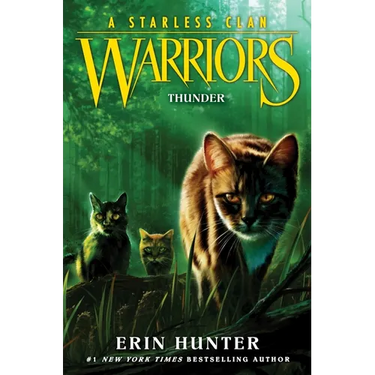 Warriors: A Starless Clan #4: Thunder