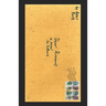 Dear Runaway: a novel in letters