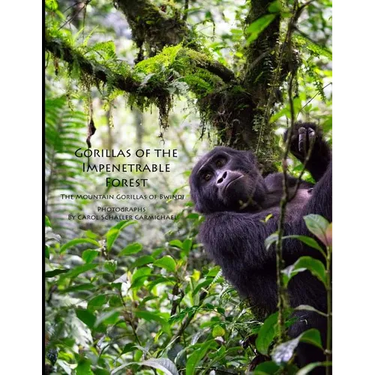 Gorillas of the Impenetrable Forest: The Mountain Gorillas of Bwindi