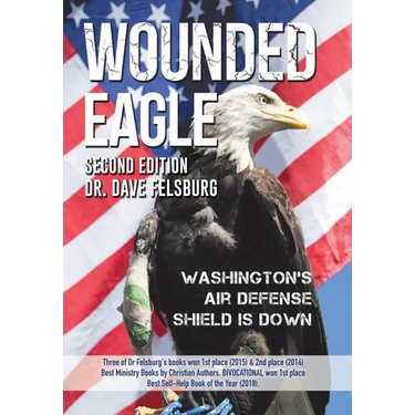 WOUNDED EAGLE (2nd Ed.): Washington's Air Defense Shield is Down