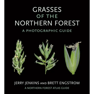 Grasses of the Northern Forest: A Photographic Guide