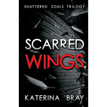 Scarred Wings: Shattered Souls Trilogy Book 2