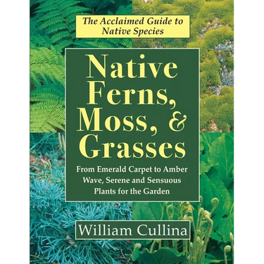 Native Ferns, Moss, and Grasses