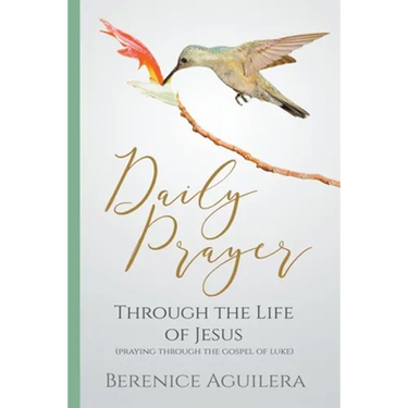 Daily Prayer through the Life of Jesus (Praying through the Gospel of Luke)