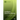 Intelligent Electronic Devices