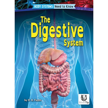 The Digestive System