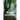 Whispers from the Shadows