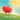 I Love You More