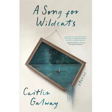A Song for Wildcats: Stories