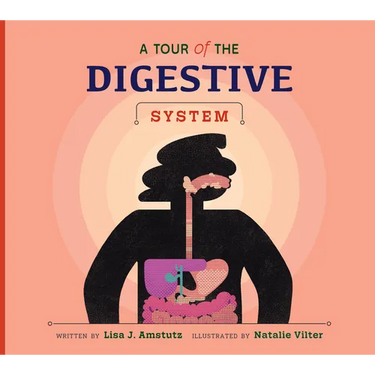 A Tour of the Digestive System
