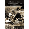 Diary of the Ouagadougou Doc: A Peace Corps Experience
