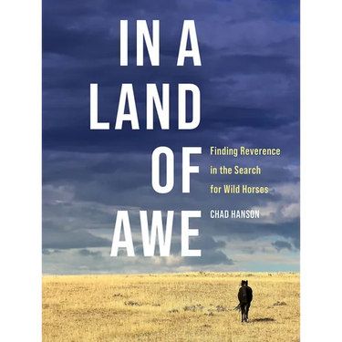 In a Land of Awe: Finding Reverence in the Search for Wild Horses