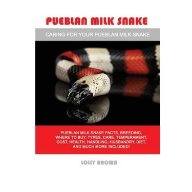 Pueblan Milk Snake: Pueblan Milk Snake facts, breeding, where to buy, types, care, temperament, cost, health, handling, husbandry, diet, a