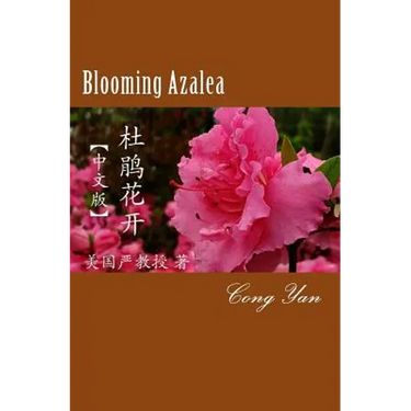 Blooming Azalea