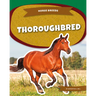 Thoroughbred