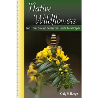 Native Wildflowers and Other Ground Covers for Florida Landscapes