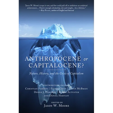 Anthropocene or Capitalocene?: Nature, History, and the Crisis of Capitalism