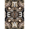 Moth Wing Tea
