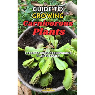 Guide to Growing Carnivorous Plants: Learn to Grow Carnivorous Plants Easily