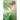 Clarity: (Cursed #2)