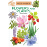 Flowers and Plants