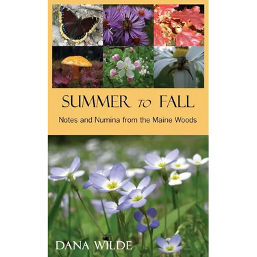 Summer to Fall