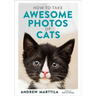How to Take Awesome Photos of Cats