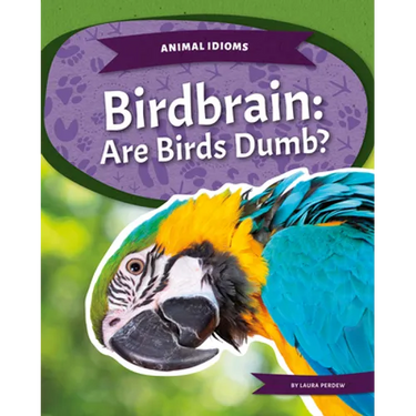 Birdbrain: Are Birds Dumb?: Are Birds Dumb?