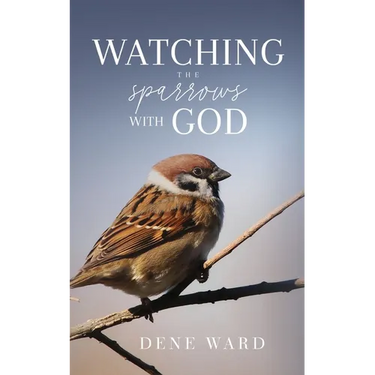 Watching the Sparrows with God