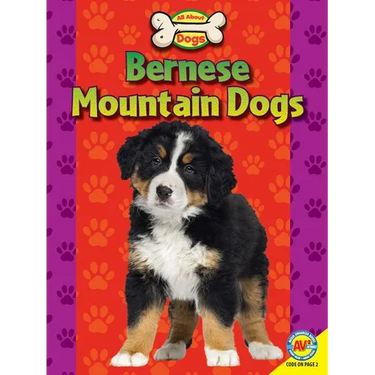 Bernese Mountain Dogs
