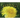 Book One of the Hidden Magic of Plants: Dandeia