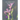 All Your Poems Anthology June 2025