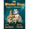 The Wonder Dogs Caught in a Thunderstorm