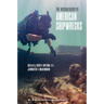 The Archaeology of American Shipwrecks