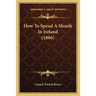 How To Spend A Month In Ireland (1866)