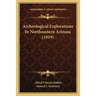 Archeological Explorations In Northeastern Arizona (1919)