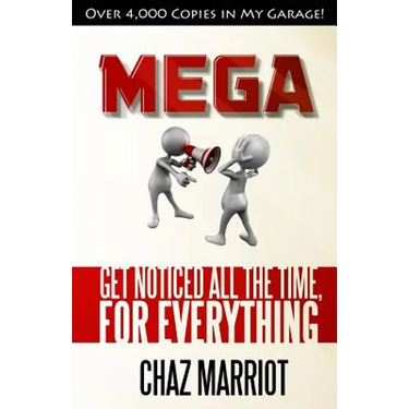 Mega: Get Noticed All the Time, for Everything