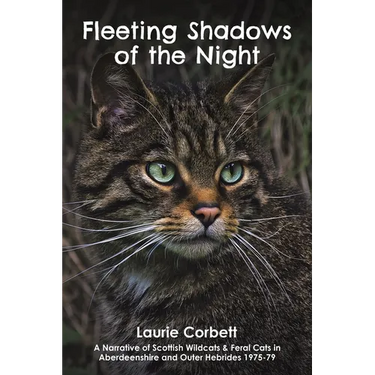 Fleeting Shadows of the Night