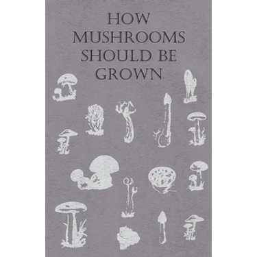 How Mushrooms Should Be Grown