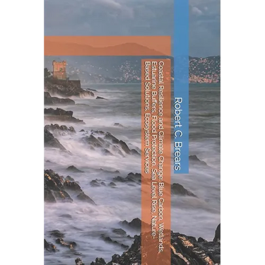 Coastal Resilience and Climate Change: Blue Carbon, Wetlands, Estuarine Buffers, Flood Protection, Sea Level Rise, Nature-Based Solutions, Ecosystem S