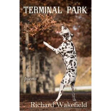 Terminal Park: Poems
