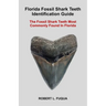 Florida Fossil Shark Teeth Identification Guide: The Fossil Shark Teeth Most Commonly Found In Florida