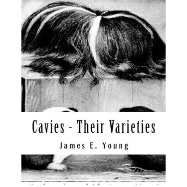 Cavies - Their Varieties: How To Feed, Breed, Condition and Market Them