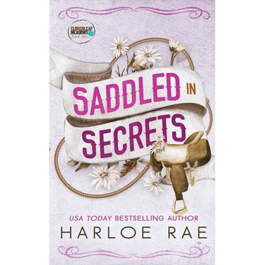 Saddled in Secrets: A protective bodyguard small town standalone romance