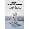 Husky Training Tricks: Amazing Tips On Training A Husky Puppy: Some Tips On Training A Husky